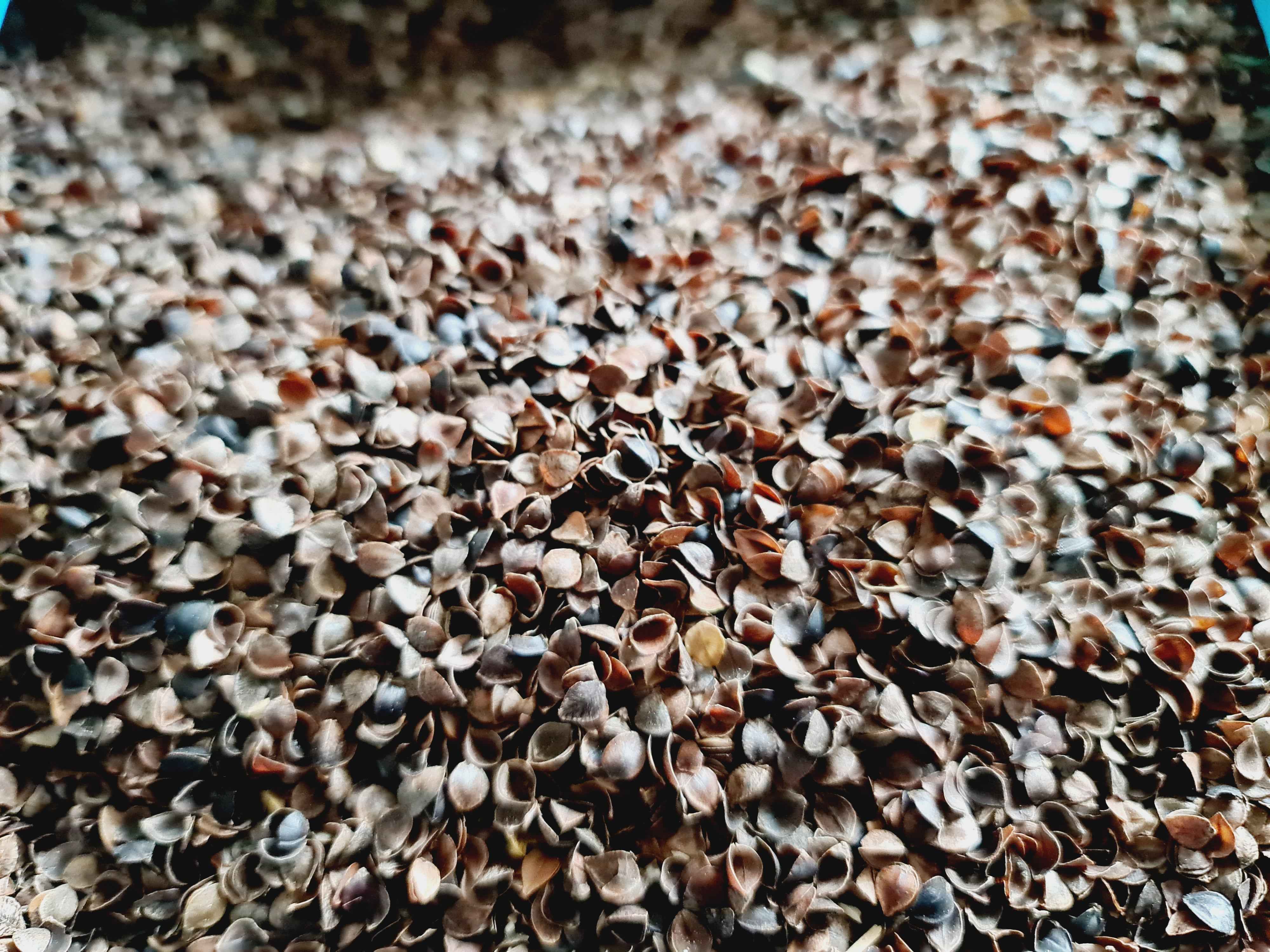 Custom buckwheat hull pillow insert for boho floor cushion covers – The Shanti Home