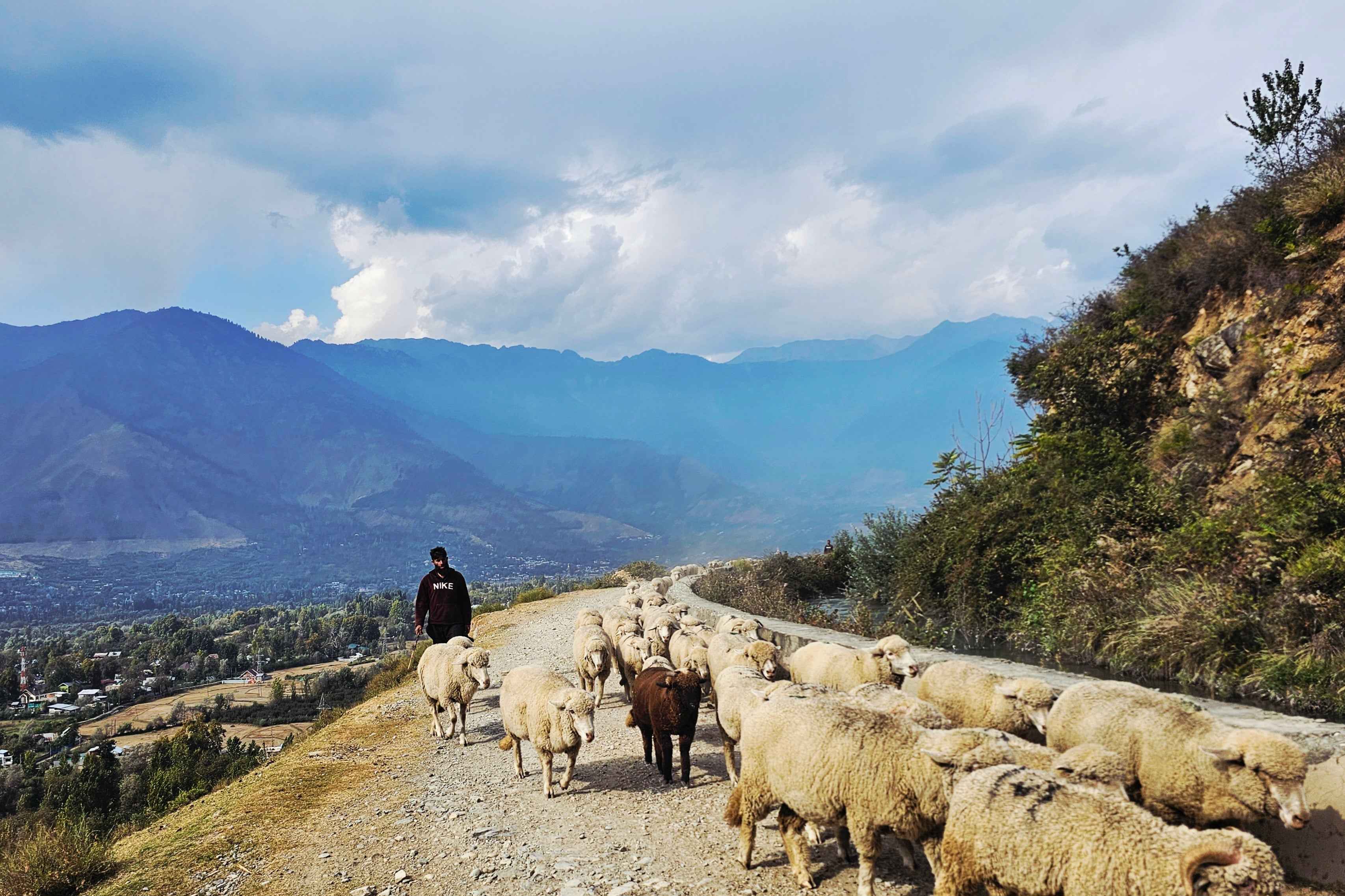 The Shanti Home family arriving in Kashmir – handcrafted textile shop from Kashmir