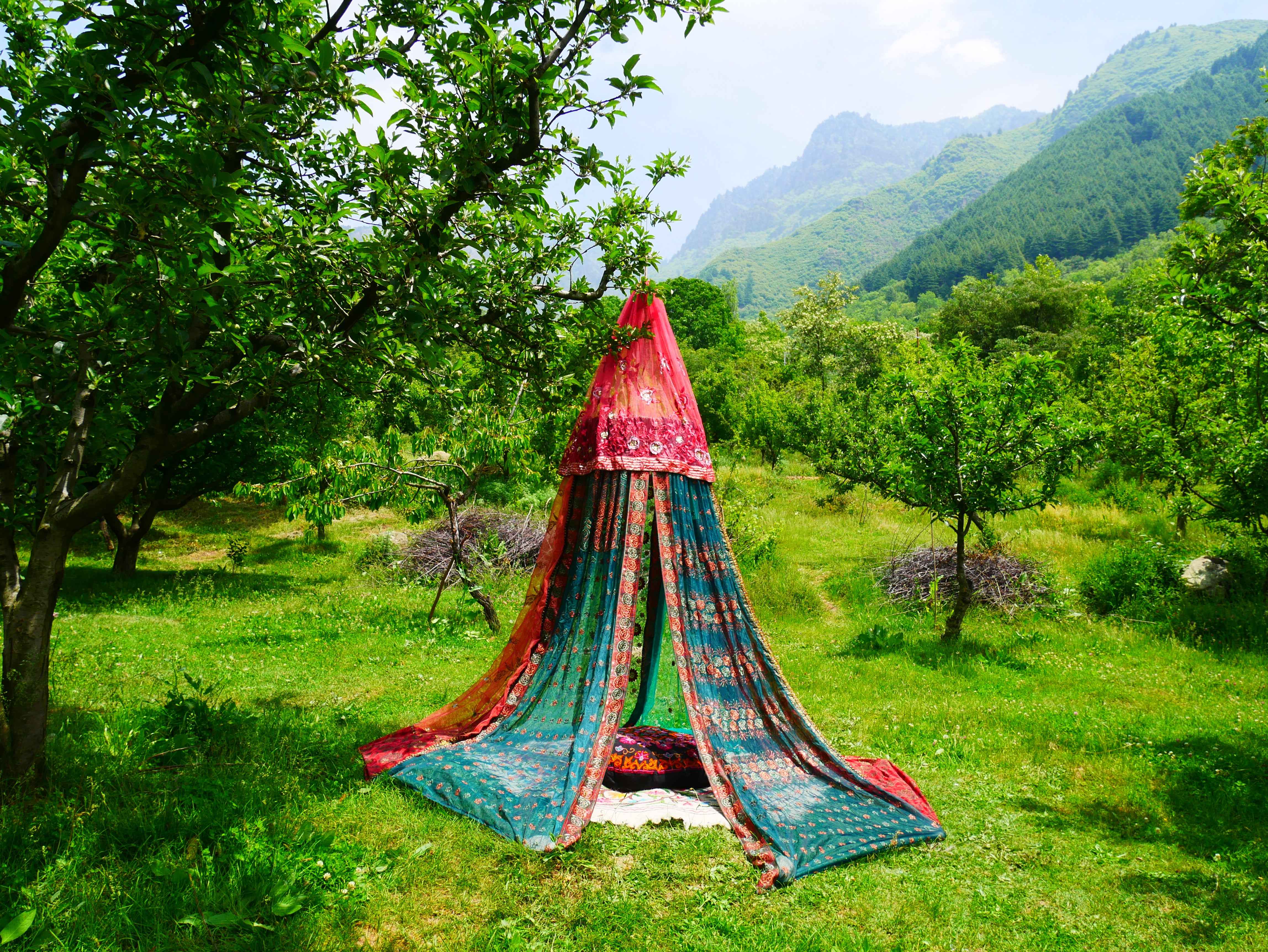 Kashmiri Canopy Saree tent - Bed Canopy | Shanti baldachin for Meditation Spaces or Kids play tent