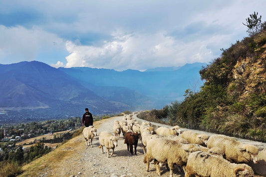 The Shanti Home family arriving in Kashmir – handcrafted textile shop from Kashmir