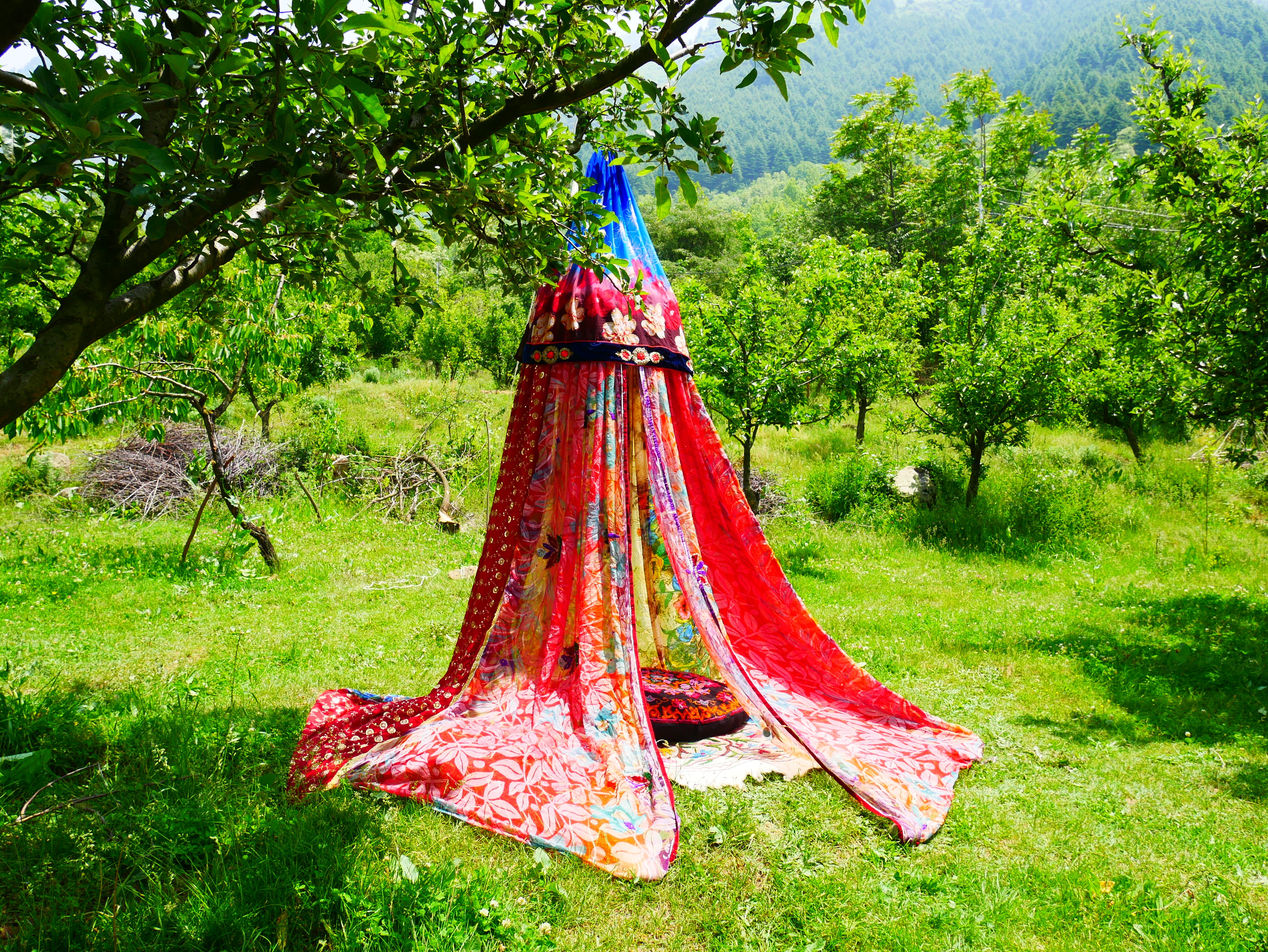 Shanti Canopy Saree tent - bed canopy | Kashmiri baldachin for Meditation Spaces or Reading nooks